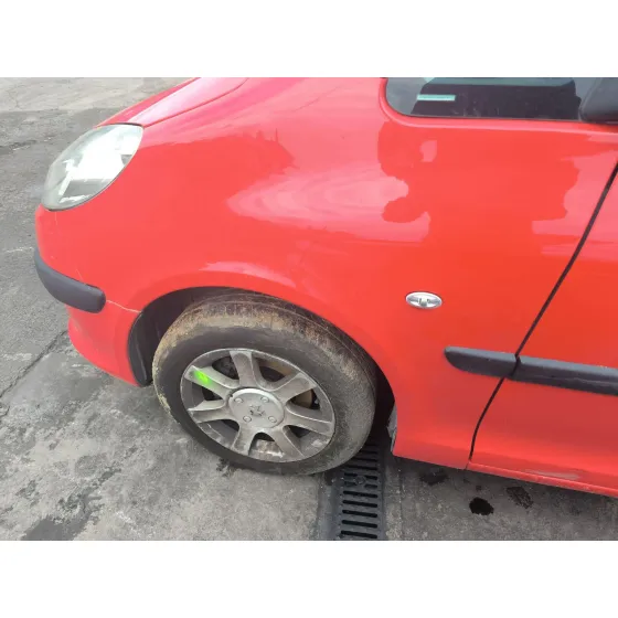 Mangueta Delantera Izquierda para Peugeot 1007 (Km_)