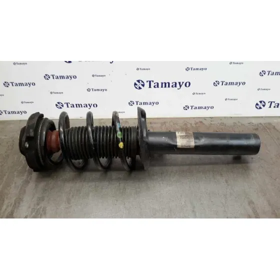 Amortiguador Delantero Izquierdo para Audi Tt (8J3/8J9)