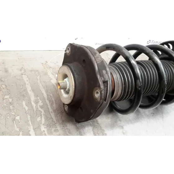 Amortiguador Delantero Izquierdo para Audi Tt (8J3/8J9)