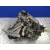 Caja Cambios para Renault Modus