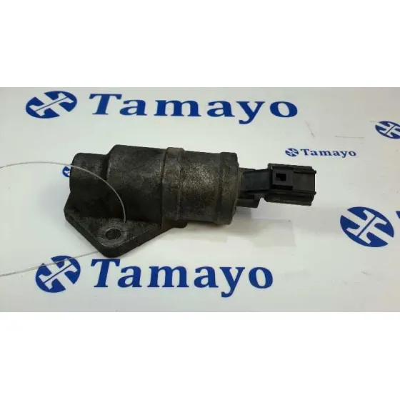 Valvula Ralenti para Ford Ka (Ccq)