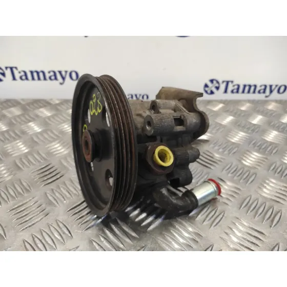 Bomba Direccion para Chrysler Voyager (Rg)