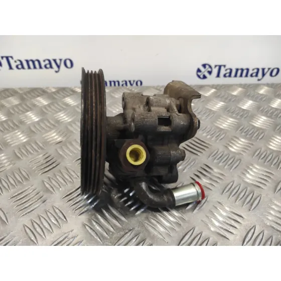 Bomba Direccion para Chrysler Voyager (Rg)