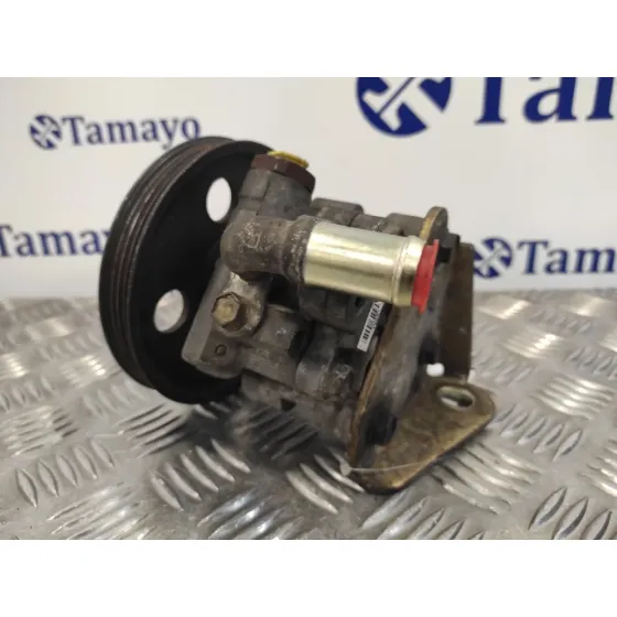 Bomba Direccion para Chrysler Voyager (Rg)