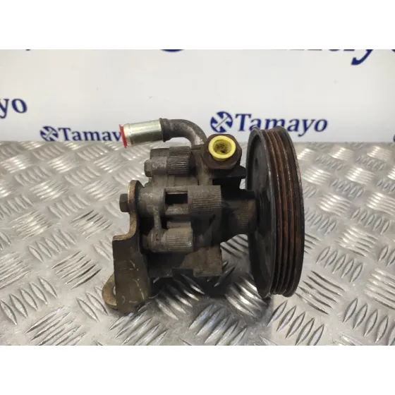 Bomba Direccion para Chrysler Voyager (Rg)