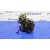 Delco para Lada Niva ( 2121 / 21213 / 21214 / 21215 )