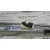 Elevalunas Delantero Derecho para Renault Megane I Berlina Hatchback (Ba0)