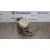 Bomba Servodireccion para Peugeot Boxer Caja Abierta (Rs3200)(330/350)('02->)