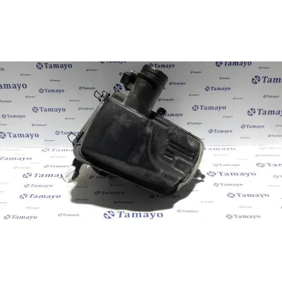 Carcasa Filtro Aire para Nissan Qashqai (J10)