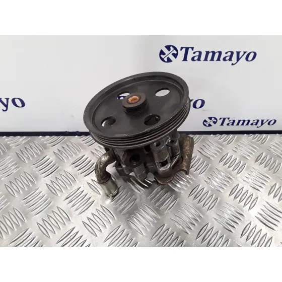 Bomba Servodireccion para Chrysler Voyager (Rg)