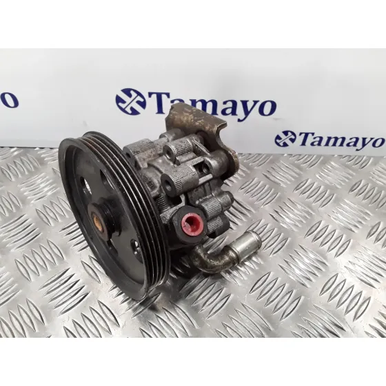 Bomba Servodireccion para Chrysler Voyager (Rg)