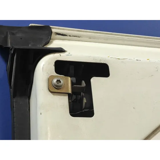 Puerta Trasera Carga Izquierda para Ford Transit Caja Cerrada, Larga (Fy) (2000 =>)