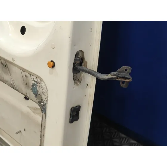 Puerta Trasera Carga Izquierda para Ford Transit Caja Cerrada, Larga (Fy) (2000 =>)