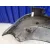 Paragolpes Trasero para Seat Toledo (5P2)