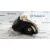 Airbag Delantero Derecho para Fiat Grande Punto (199)