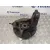 Mangueta Delantera Derecha para Bmw Mini (R50,R53)