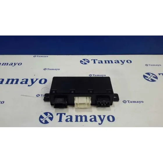 Modulo Electronico para Bmw Serie 5 Berlina (E39)