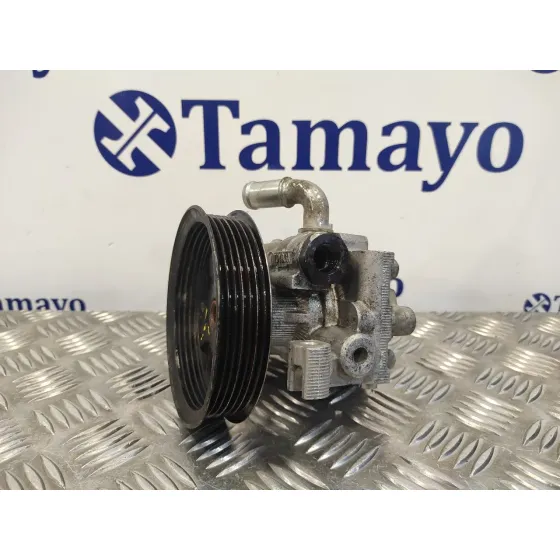 Bomba Servodireccion para Ford Transit Connect (Tc7)