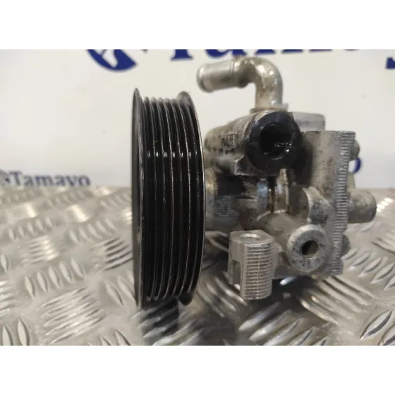 Bomba Servodireccion para Ford Transit Connect (Tc7)