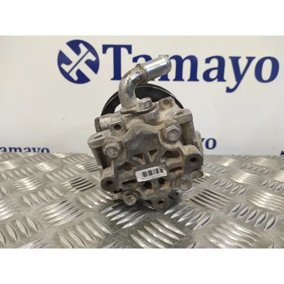 Bomba Servodireccion para Ford Transit Connect (Tc7)