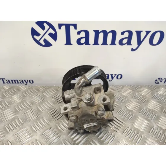 Bomba Servodireccion para Ford Transit Connect (Tc7)
