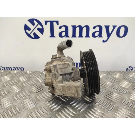 Bomba Servodireccion para Ford Transit Connect (Tc7)