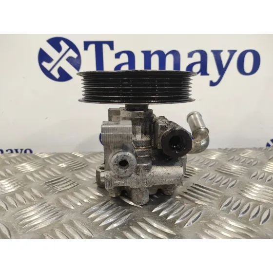 Bomba Servodireccion para Ford Transit Connect (Tc7)