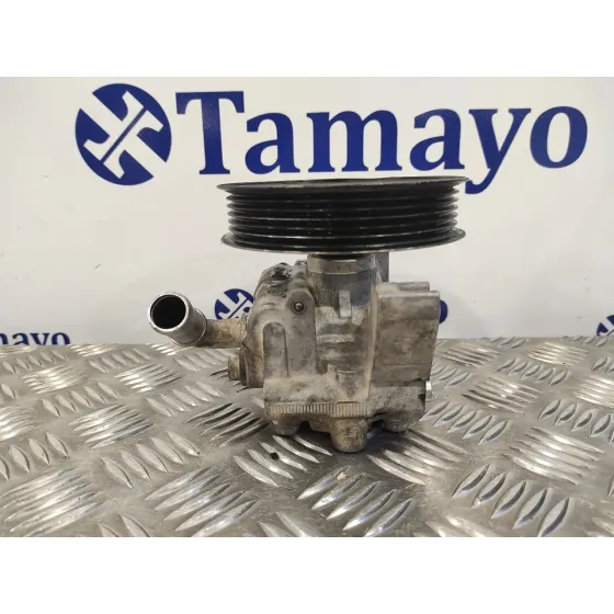 Bomba Servodireccion para Ford Transit Connect (Tc7)