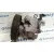 Bomba Servodireccion para Mitsubishi Carisma Berlina 5 (Da0)