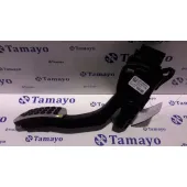 Potenciometro Pedal para Ford Fiesta (Cb1)