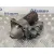 Motor Arranque para Ford Focus C-Max (Cap)
