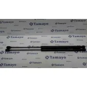 Amortiguadores Maletero / Porton para Ford Fiesta (Cb1)