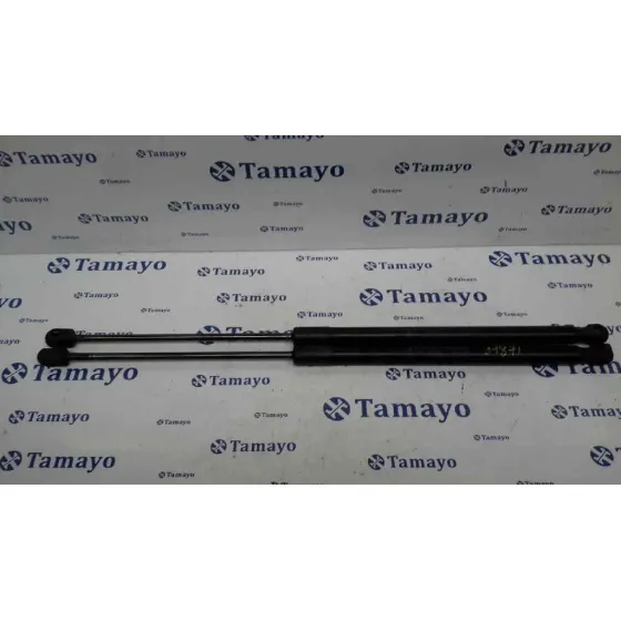 Amortiguadores Maletero / Porton para Ford Fiesta (Cb1)