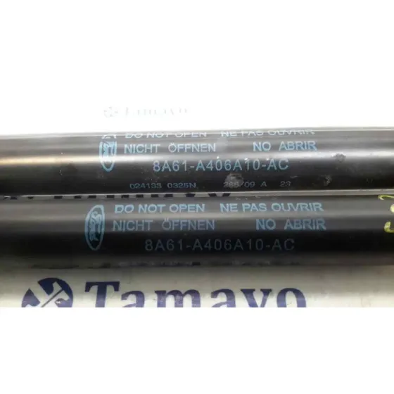 Amortiguadores Maletero / Porton para Ford Fiesta (Cb1)
