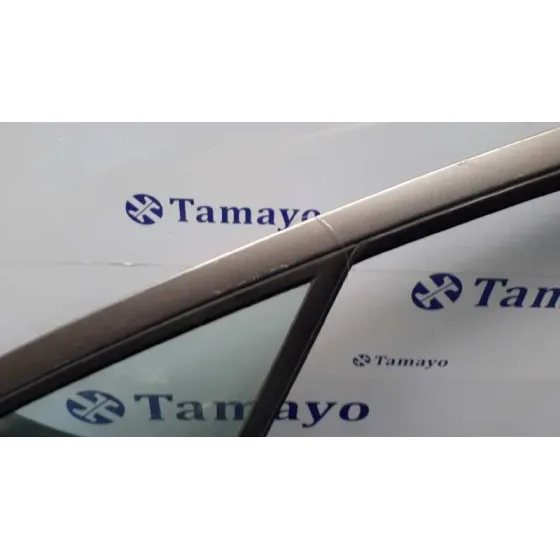Puerta Delantera Izquierda para Peugeot 407