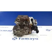 Bomba Inyeccion para Renault Vel Satis (Bj0)