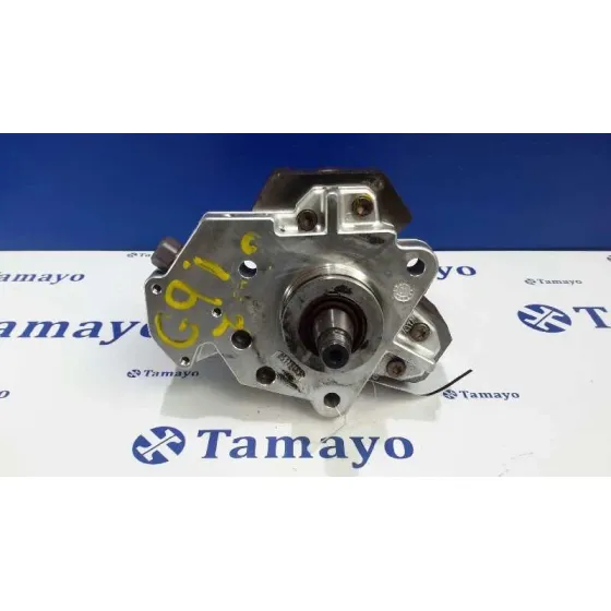 Bomba Inyeccion para Renault Vel Satis (Bj0)
