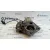 Motor Arranque para Bmw Serie 5 Berlina (E39)