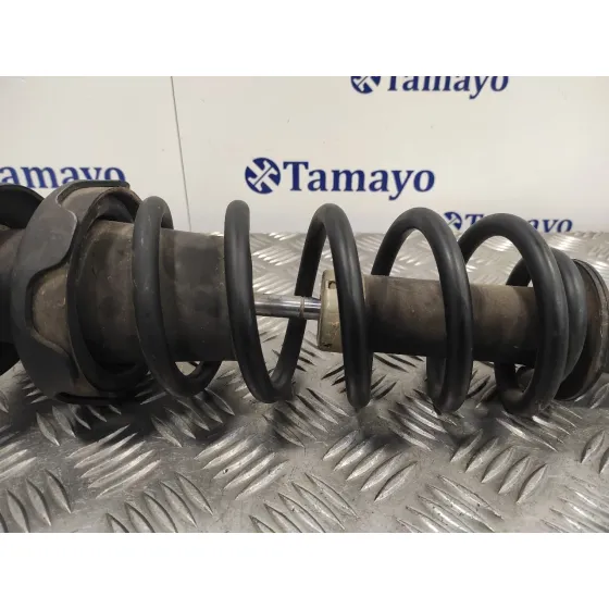 Amortiguador Trasero Derecho para Mini Mini (R50,R53)