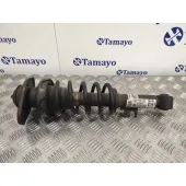 Amortiguador Trasero Izquierdo para Mini Mini (R50,R53)