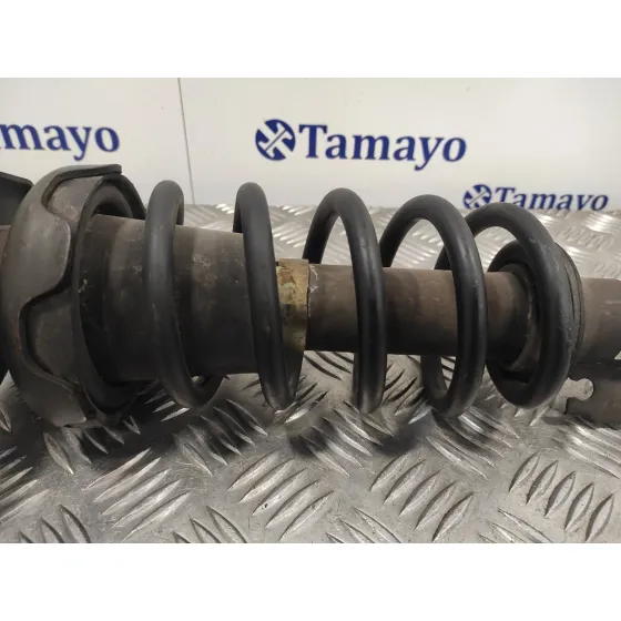 Amortiguador Trasero Izquierdo para Mini Mini (R50,R53)