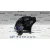 Boton Arranque para Toyota Prius (Nhw30)