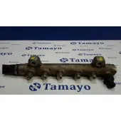 Rampa Inyectora para Renault Espace Iv (Jk0)