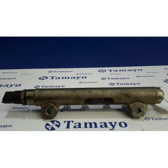 Rampa Inyectora para Renault Espace Iv (Jk0)
