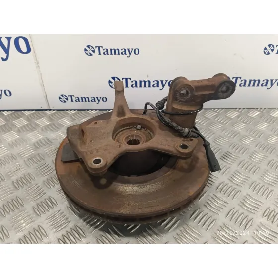 Mangueta Delantera Izquierda para Renault Scenic Iii