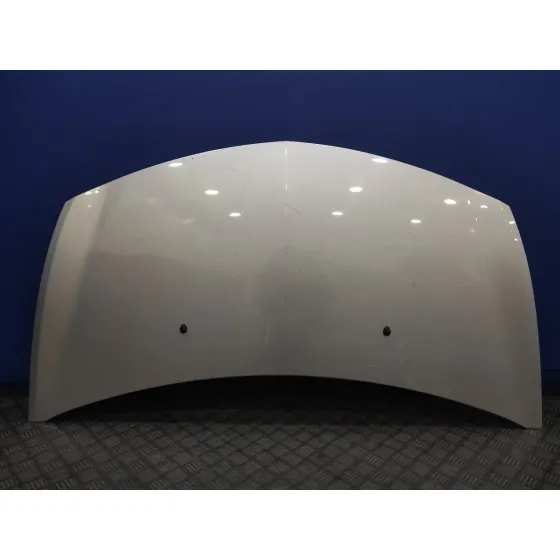 Capot para Renault Clio Iii
