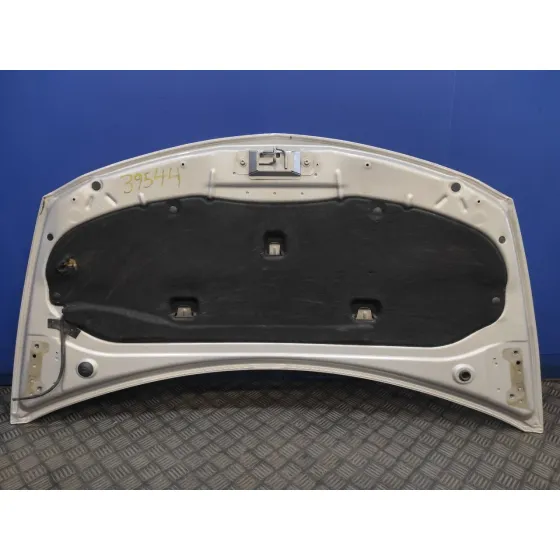 Capot para Renault Clio Iii