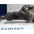 Cremallera Direccion para Mercedes-Benz Clase S (W220) Berlina