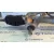 Cremallera Direccion para Fiat Coupe (175)
