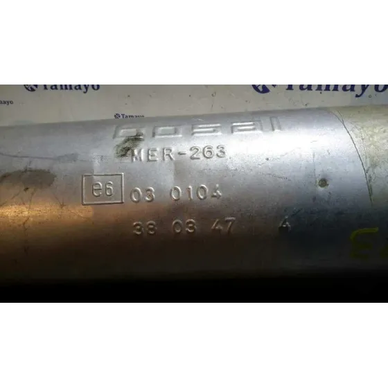 Silenciador Trasero para Citroën Zx